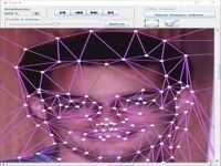 Morphing Editor Morphing Editor