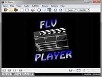 FLV Player 2011 FLV Player 2011