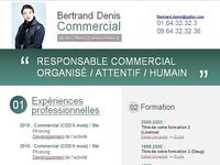 Modèles de CV Gratuits Modèles de CV Gratuits