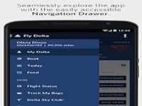 Fly Delta Fly Delta