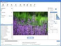 iWatermark Pro 2 for Windows iWatermark Pro 2 for Windows