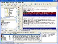 CSE HTML Validator CSE HTML Validator
