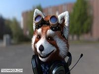 Facerig Facerig