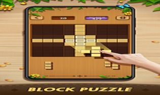 Block Master:Classic Puzzle