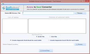 Softaken Access to Excel Converter