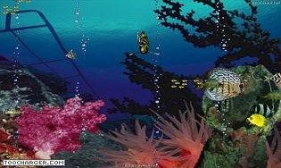 Aquarium Océan 3D