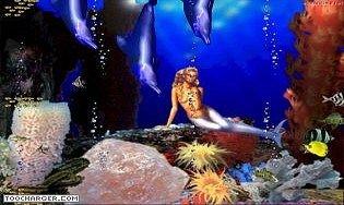3D Dolphin Sea and Siren