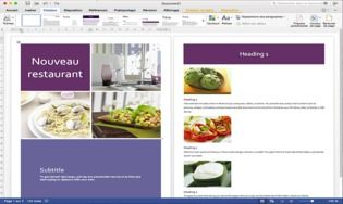 microsoft office 2016 for mac support book