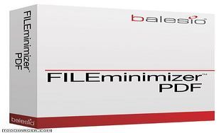 FILEminimizer PDF