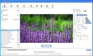 iWatermark Pro 2 for Windows