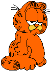 Chat Gifs animés
