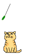 Chat Gifs animés