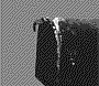 Chat Gifs animés