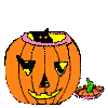 Chat Gifs animés