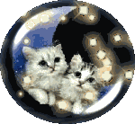 Chat Gifs animés