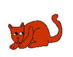 Chat Gifs animés