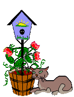 Chat Gifs animés