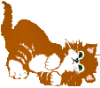 Chat Gifs animés