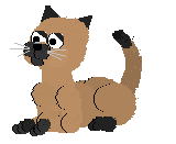 Chat Gifs animés