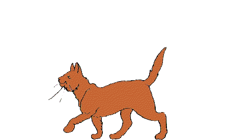 Chat Gifs animés