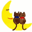 Chat Gifs animés