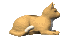 Chat Gifs animés