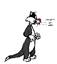 Chat Gifs animés