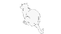 Chat Gifs animés