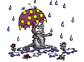 Chat Gifs animés
