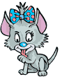 Chat Gifs animés