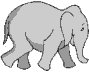 Elephant Gifs animés