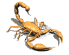 Scorpion Gifs animés