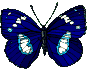 Papillon Gifs animés