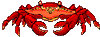 Crabe Gifs animés