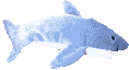 Requin Gifs animés