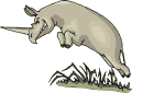 Rhinoceros Gifs animés