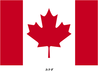 Drapeau Gifs animés