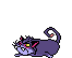Chat Gifs animés