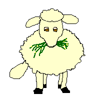Mouton Gifs animés