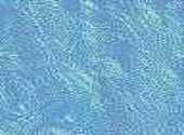 Bleu Clair Textures