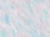 Bleu Clair Textures