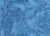 Bleu Clair Textures