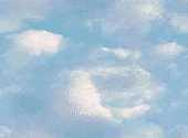 Bleu Clair Textures