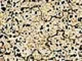 Gris Textures
