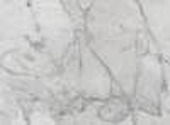Gris Textures