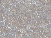 Gris Textures