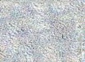 Gris Textures