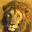 Lion Icônes