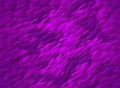 Violet Textures