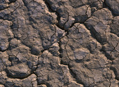 Terre sèche Textures